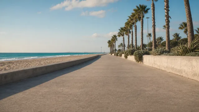 Beach boardwalk: Palm trees, sand and a turquoise sea